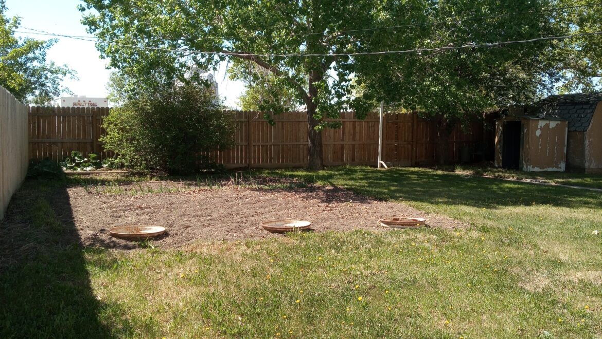 #108 Phillips Street – L202608