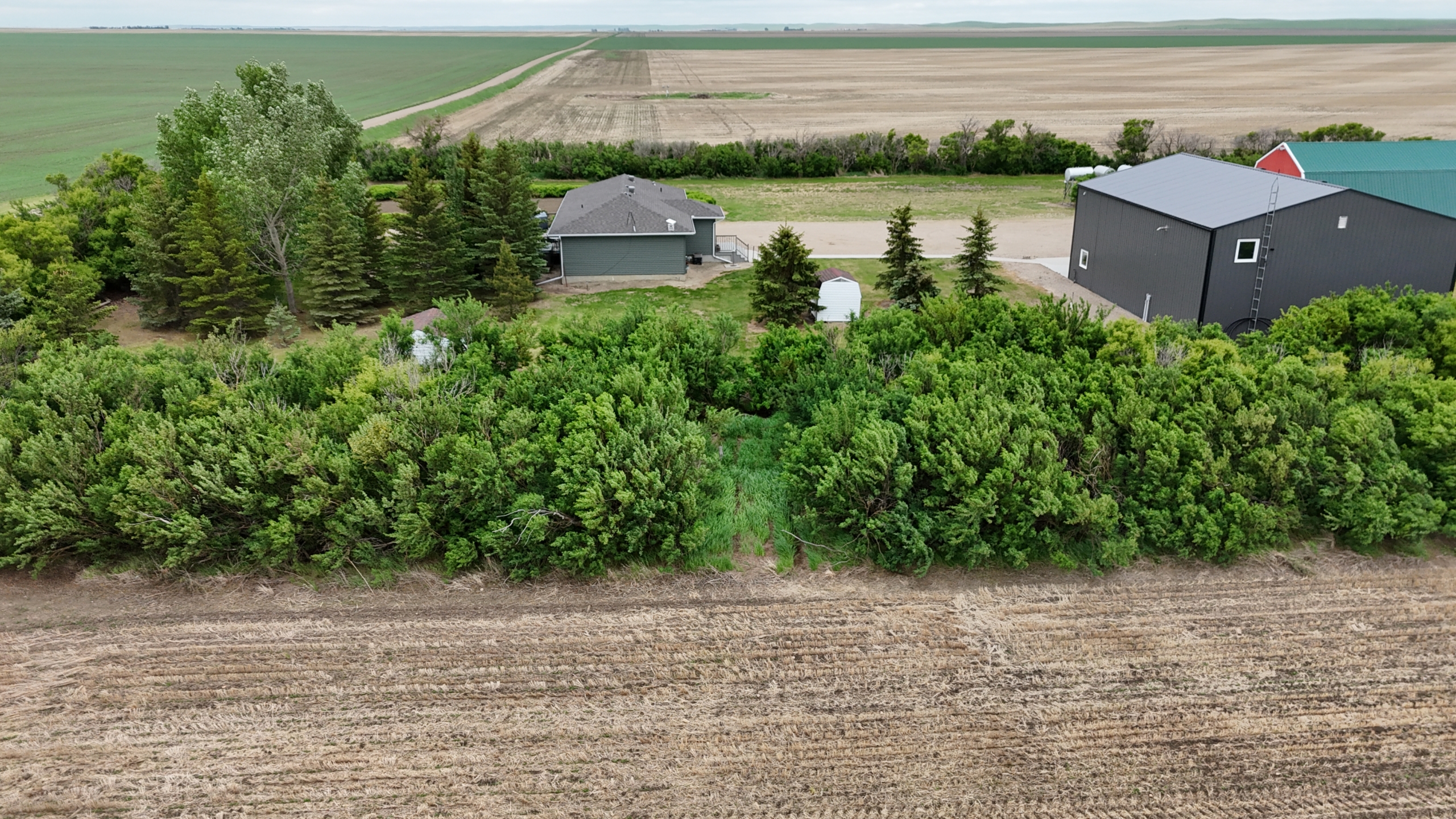 default Acreage in RM of Newcombe SE 31-26-22 W3rd – L2022618
