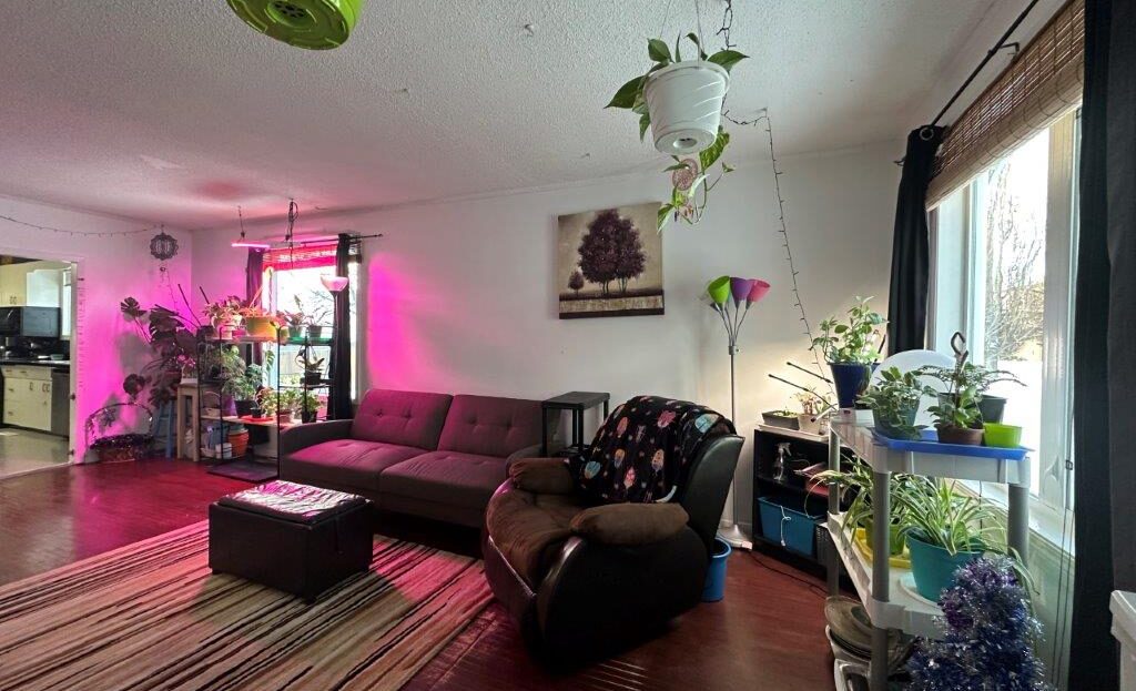 #113 4th Ave East – L202601