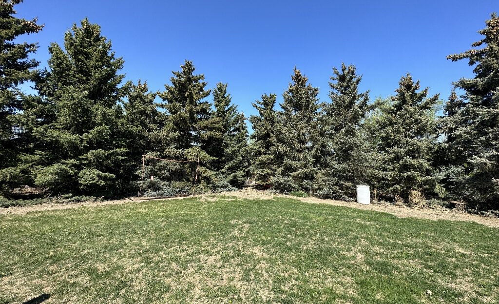 Acreage in R.M of Kindersley SW 04-28-24 W3rd – L202532