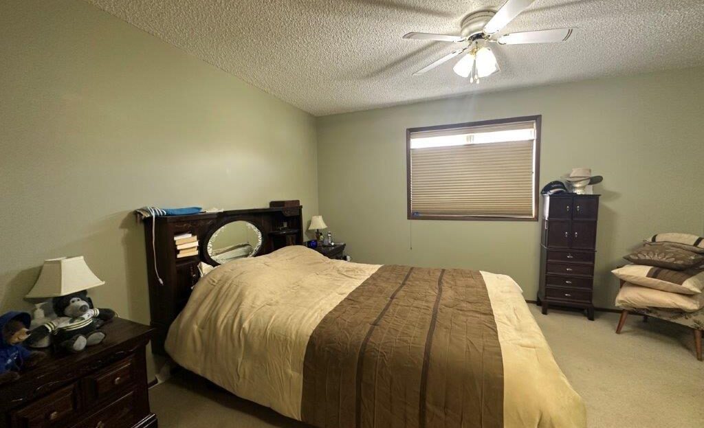 #207 2nd Ave West, Smiley – L202477