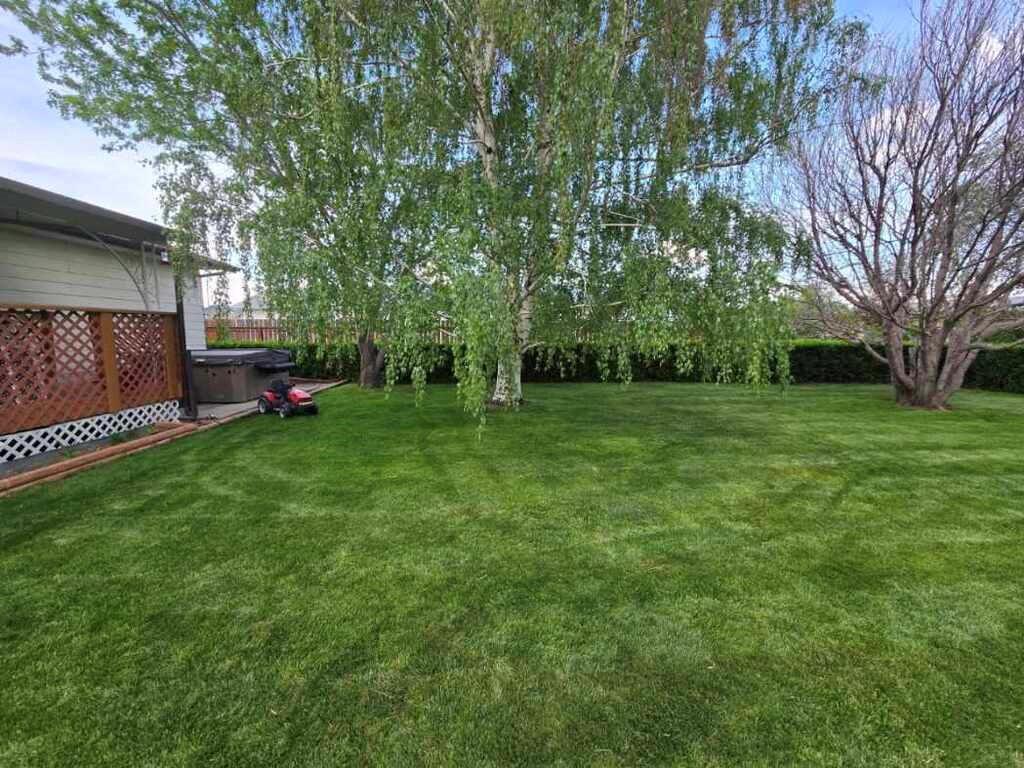 CUXR7934 #216 3rd Avenue East, Eatonia – L202636