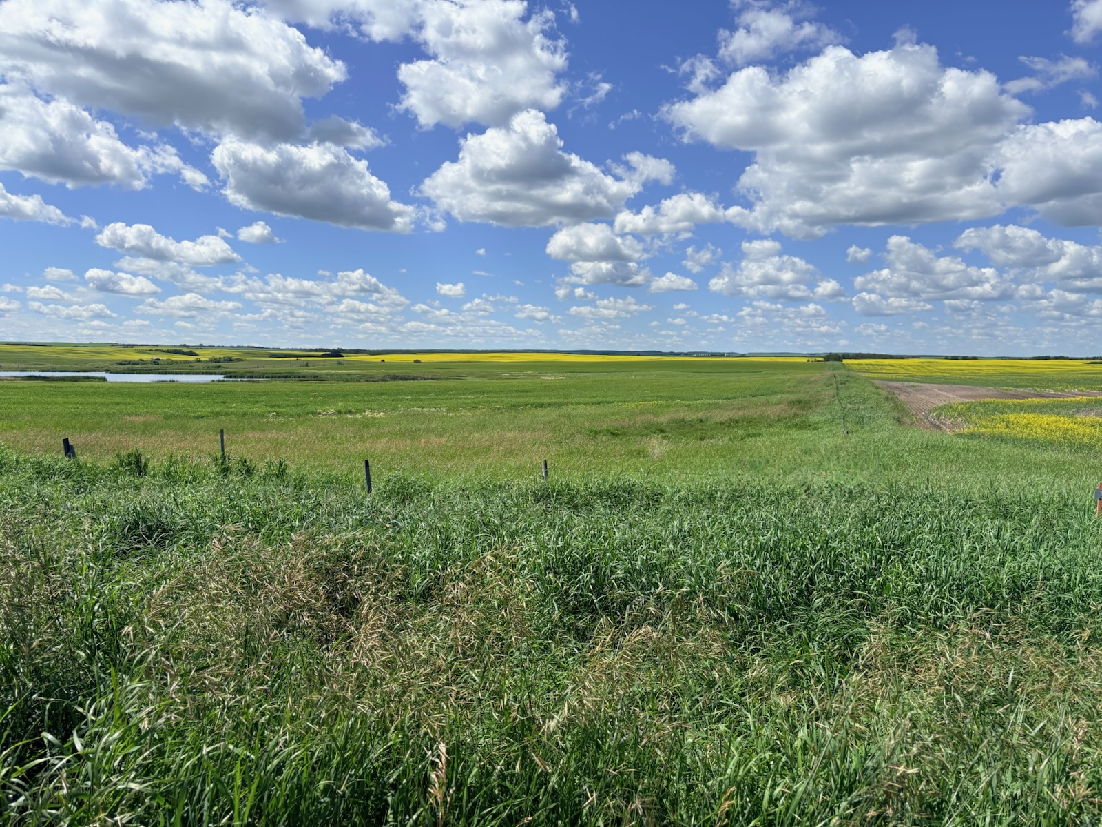 Farmland for Tender in R.M. of Glenside #377  L202638