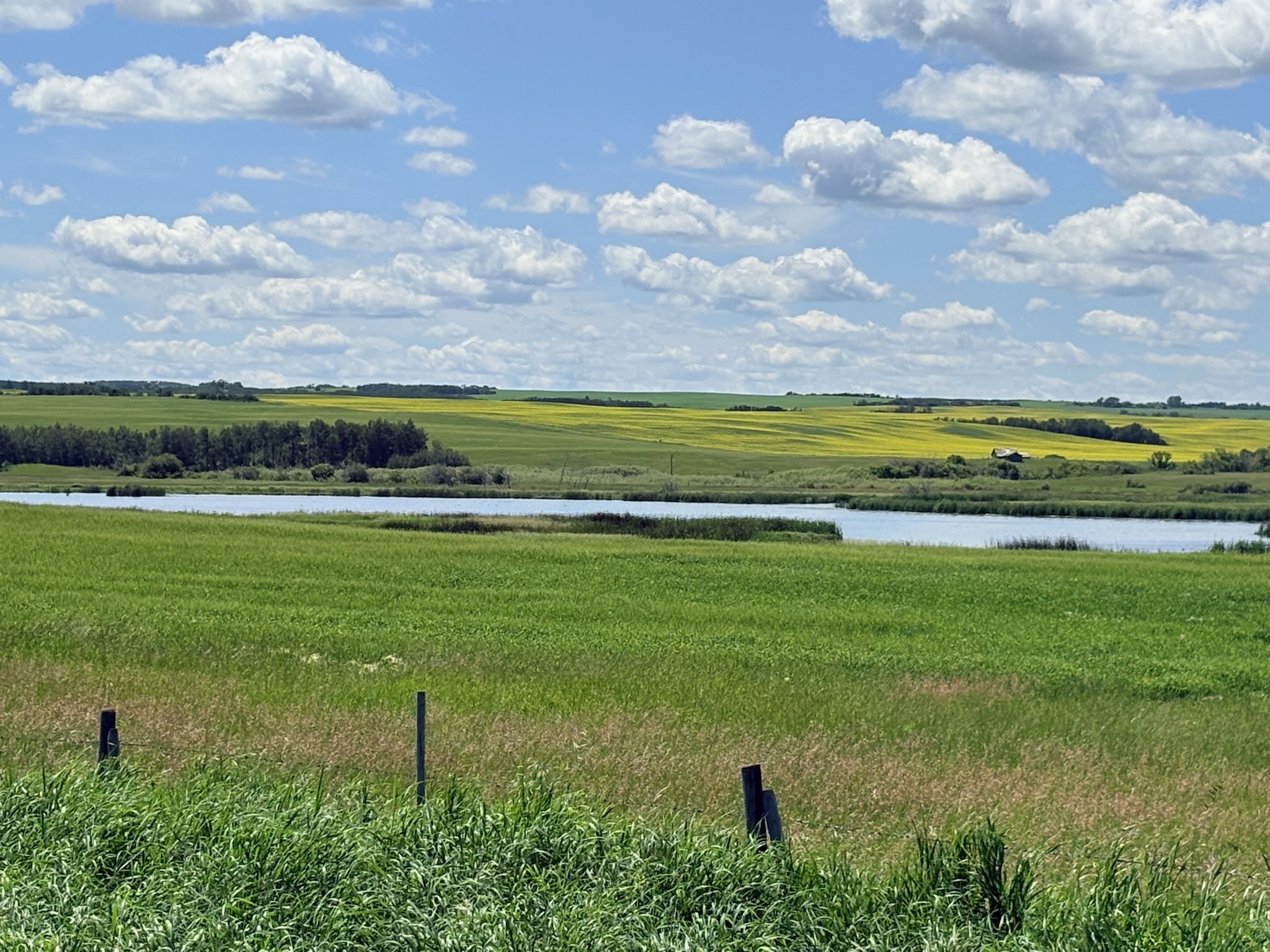 Farmland for Tender in R.M. of Glenside #377  L202638